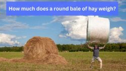 How much does a round bale of hay weigh